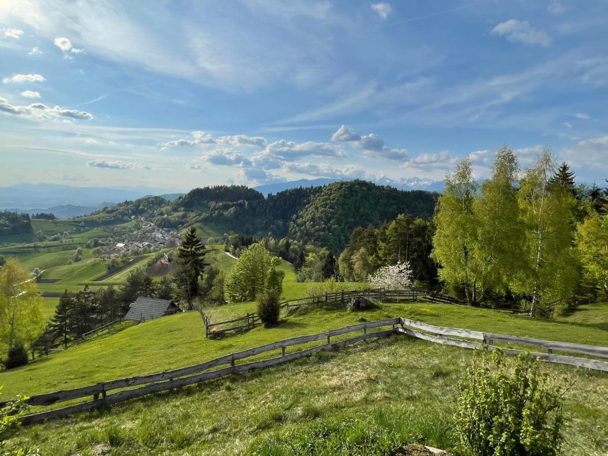 Mountain View Cottage Kamnik Esterno foto
